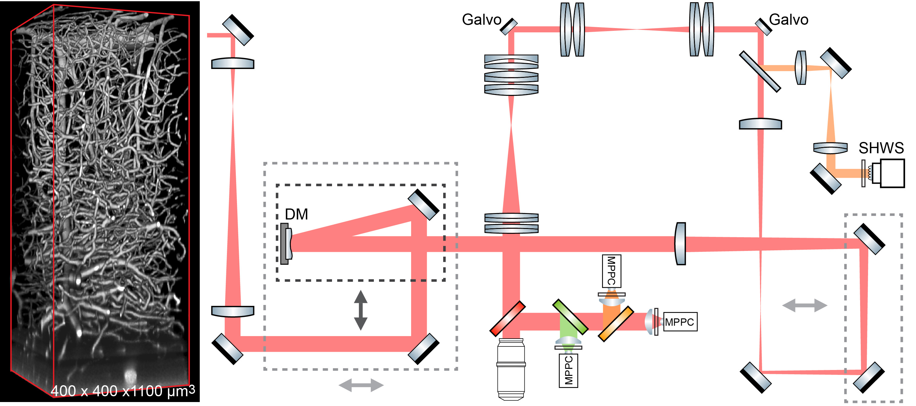 Vaculature for guide star and system layout